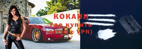 дживик Арсеньев