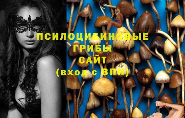 дживик Арсеньев