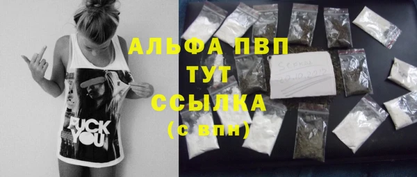 дживик Арсеньев