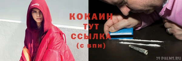 гидра Сосновка