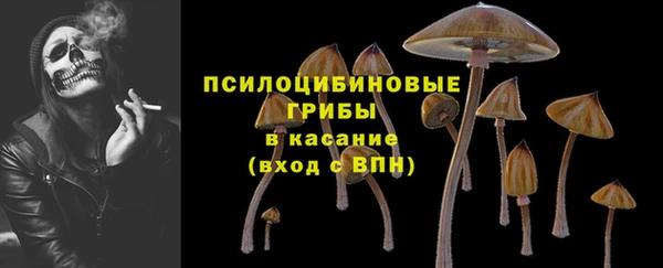 дживик Арсеньев