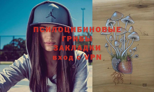 метамфетамин Аркадак