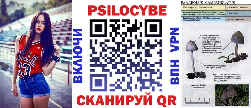 shop официальный сайт  Судак  Галлюциногенные грибы Magic Shrooms 
