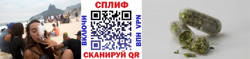купить наркотики цена  Судак  Конопля Bruce Banner 